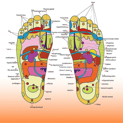 AcuSpring™ Acupressure Slippers